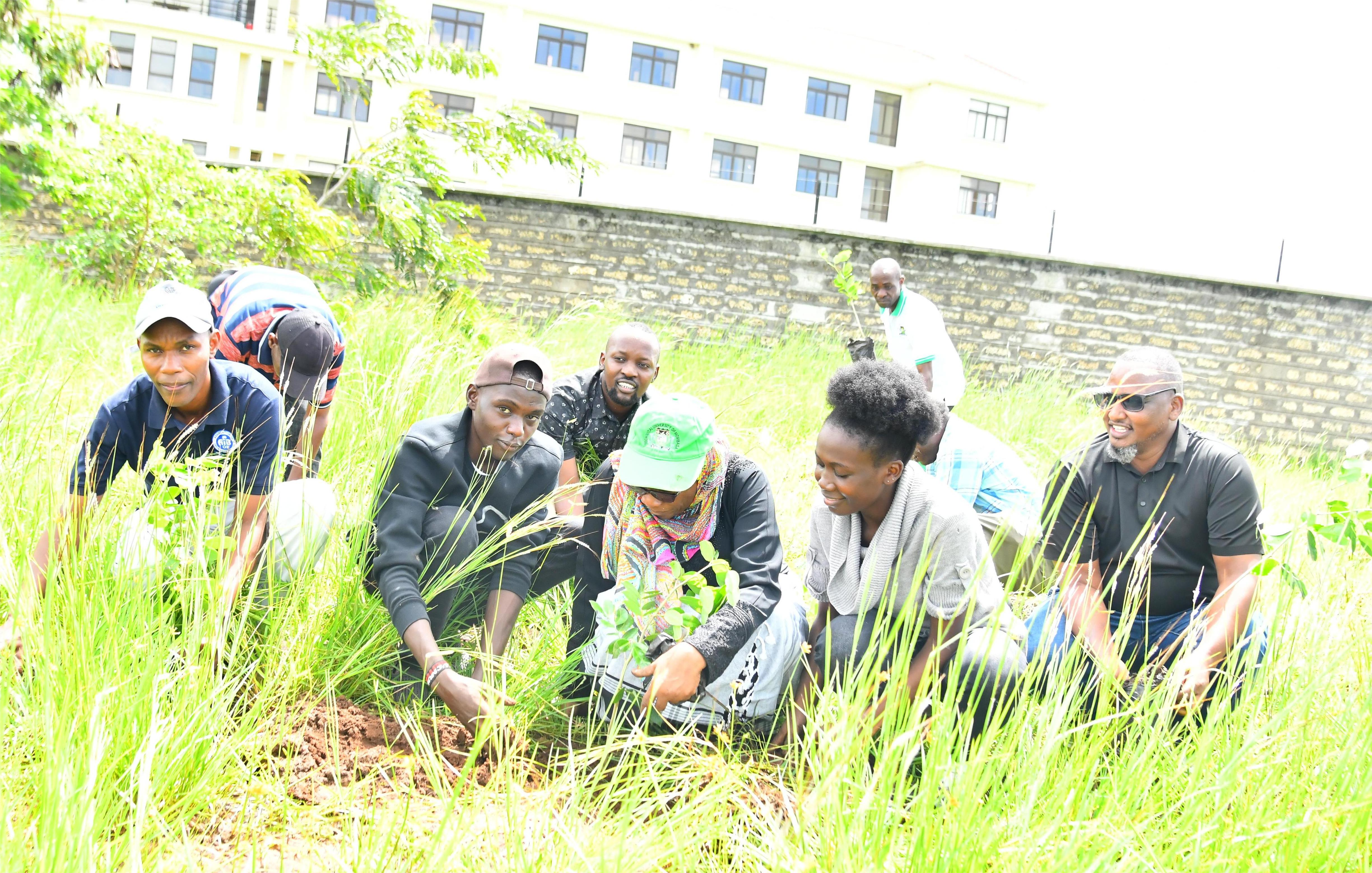 TUM fraternity plants 9,000 seedlings in climate action initiative